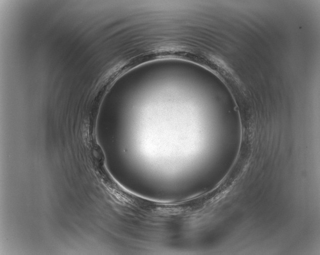 X0000062670825200512211332