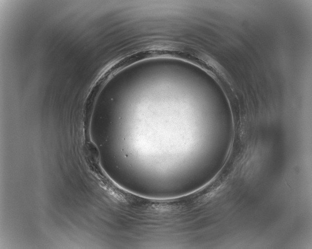 X0000062670829200512211333