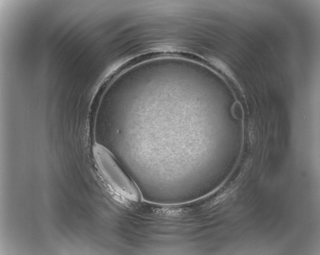 X0000062670831200512211333