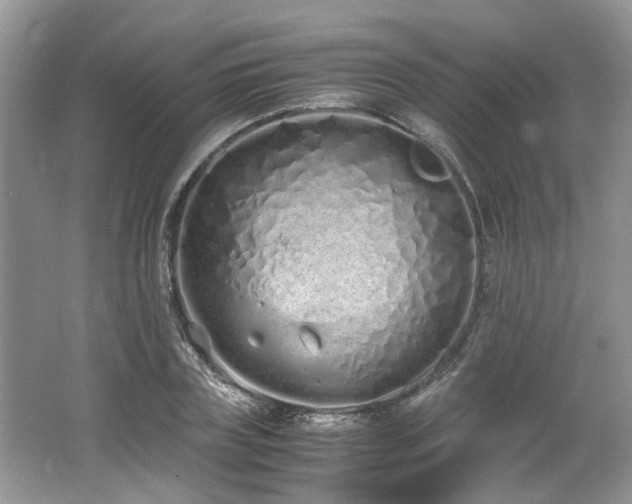 X0000062670835200512211333