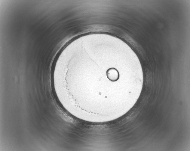 X0000062670836200512211333