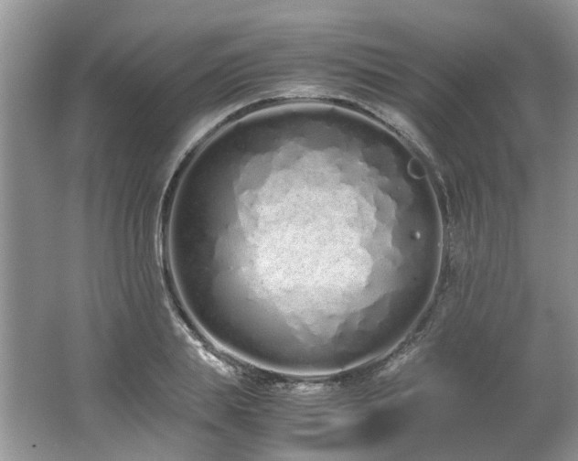 X0000062670839200512211333