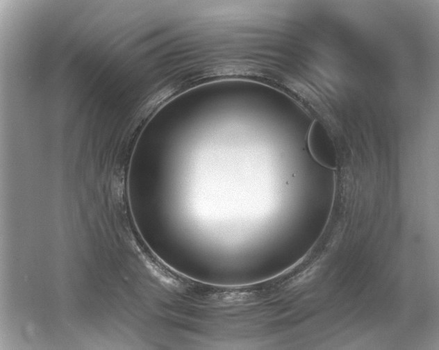 X0000062670841200512211333