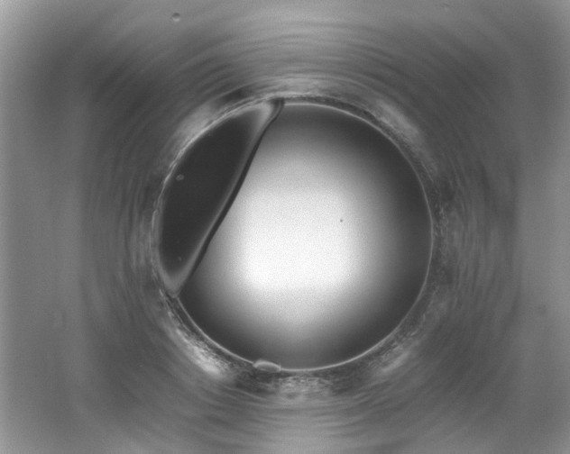 X0000062670842200512211333