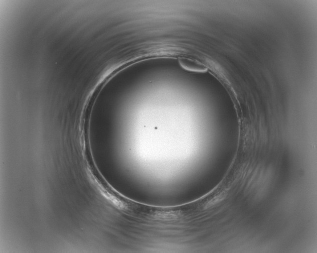 X0000062670843200512211333