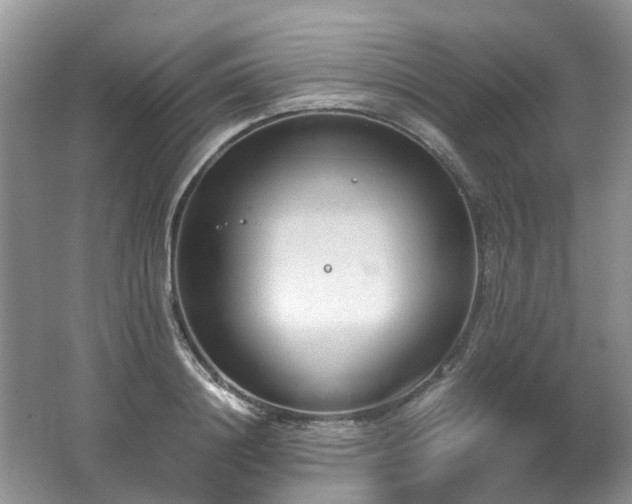 X0000062670844200512211333