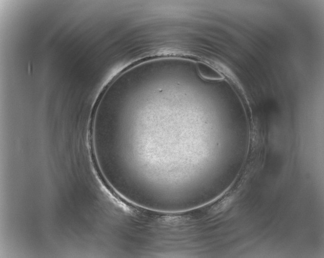 X0000062670847200512211333