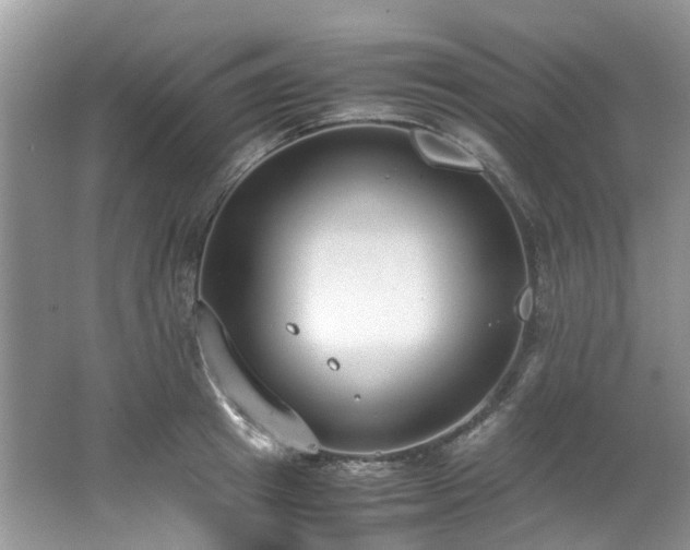 X0000062670849200512211333