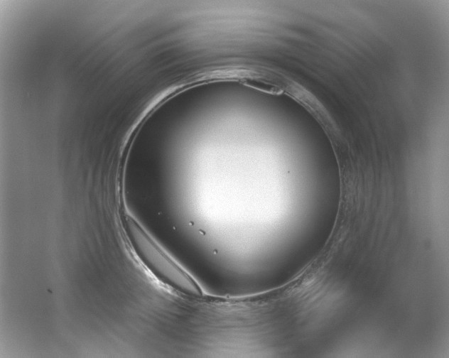 X0000062670852200512211333