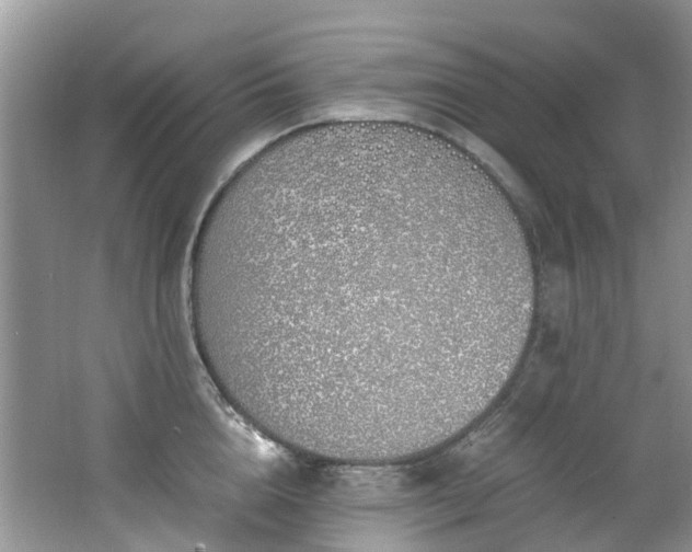 X0000062670856200512211333