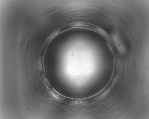 X0000062670857200512211333