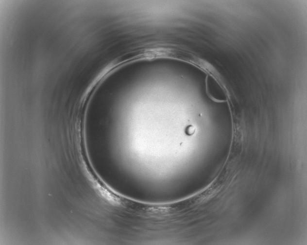 X0000062670859200512211333