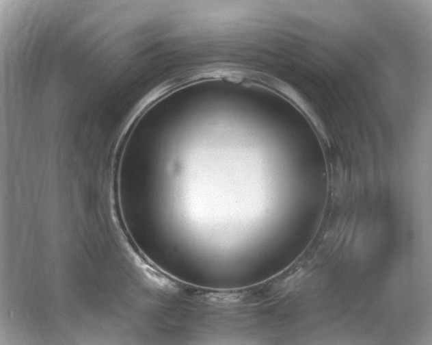 X0000062670861200512211333