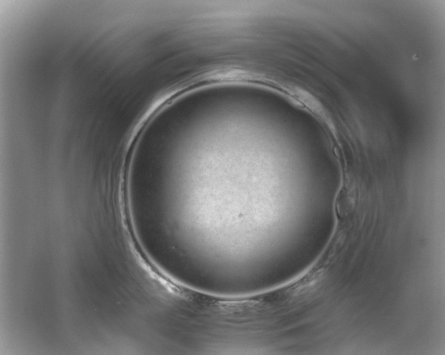 X0000062670863200512211333