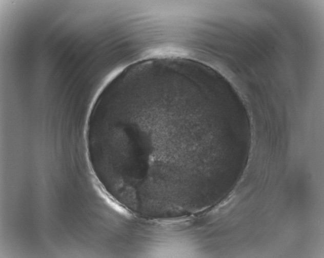 X0000062670864200512211333