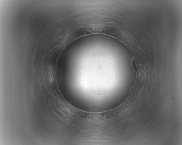 X0000062670866200512211332