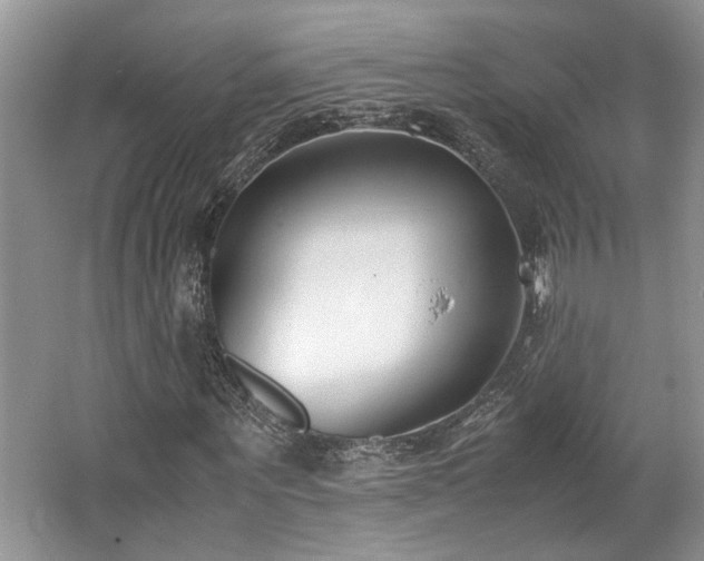 X0000062670867200512211332