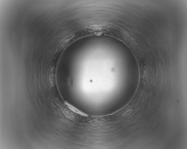 X0000062670868200512211332