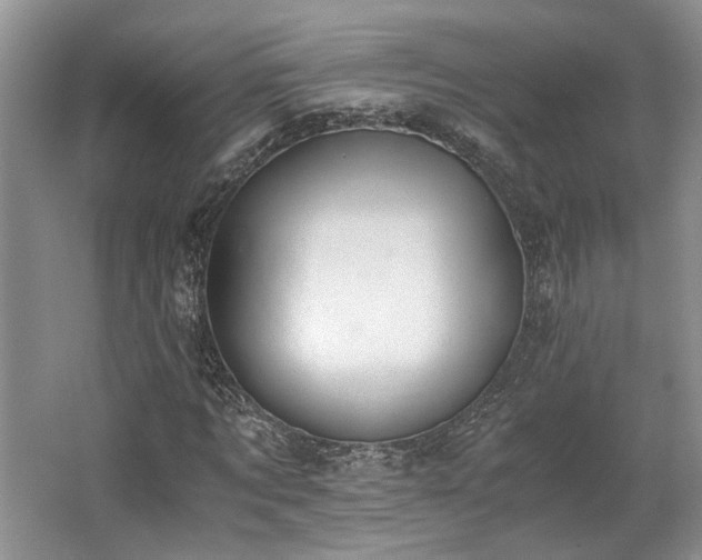 X0000062670869200512211332