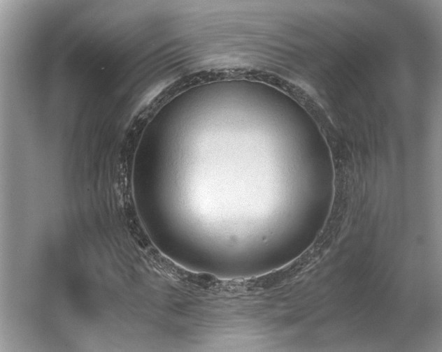 X0000062670871200512211332