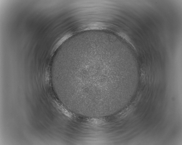 X0000062670874200512211332