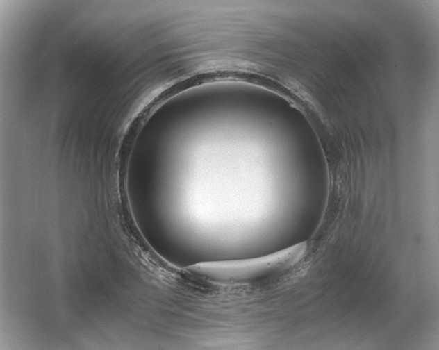 X0000062670877200512211332