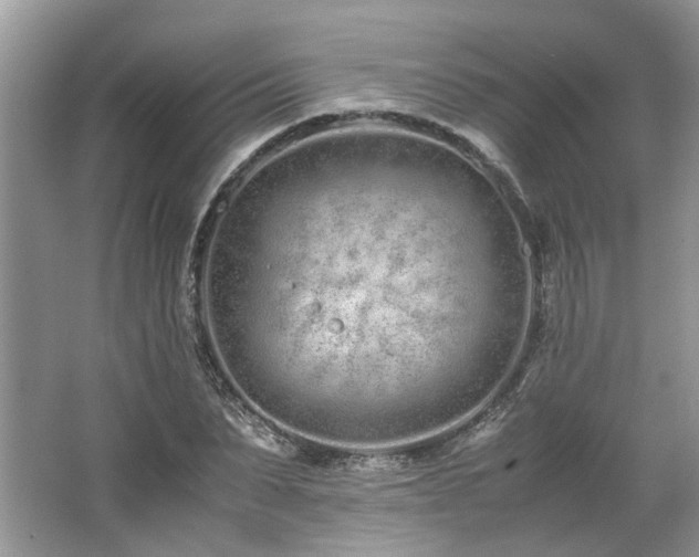 X0000062670879200512211332