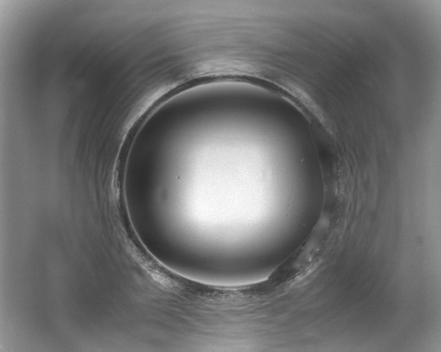 X0000062670885200512211332