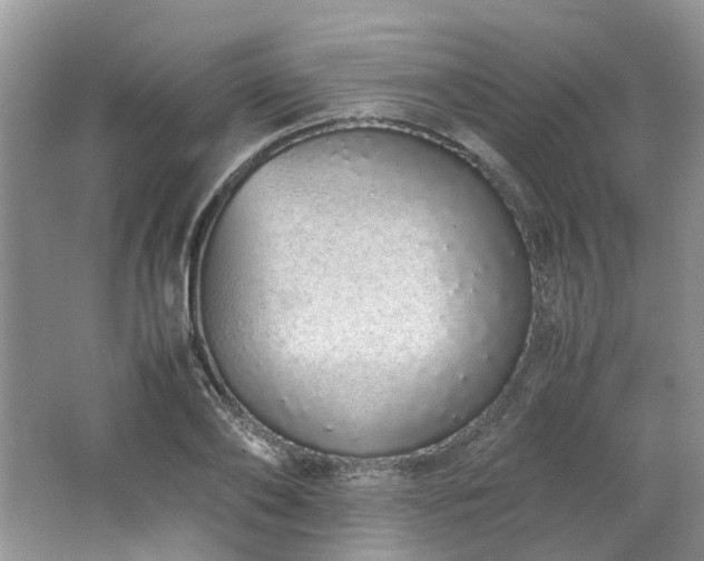 X0000062670886200512211332