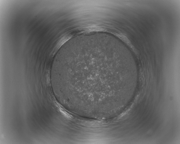 X0000062670889200512211332