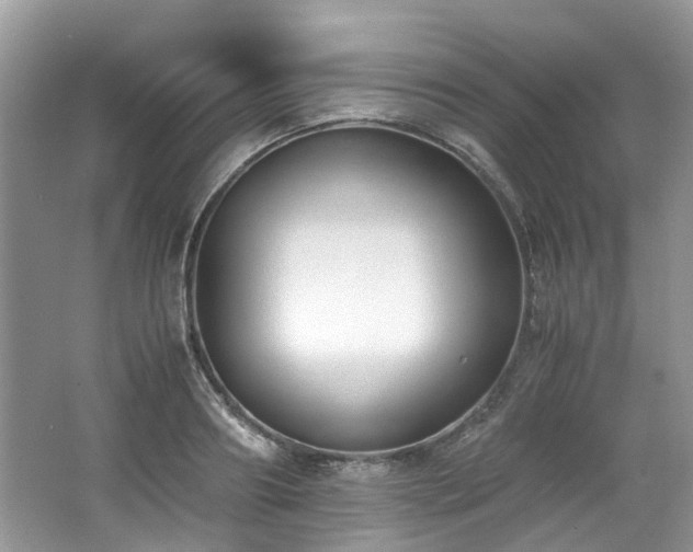 X0000062670890200512211332