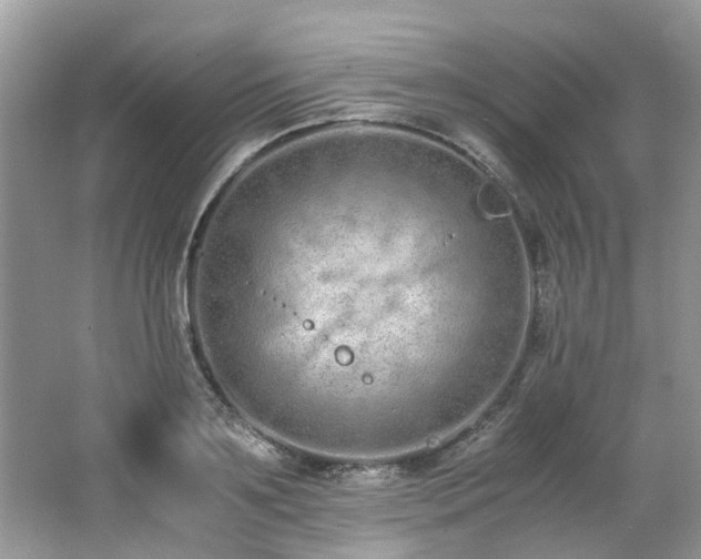 X0000062670891200512211332