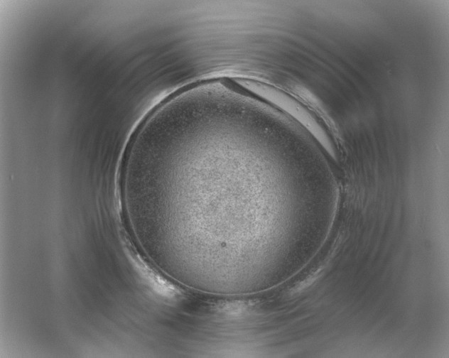 X0000062670892200512211332