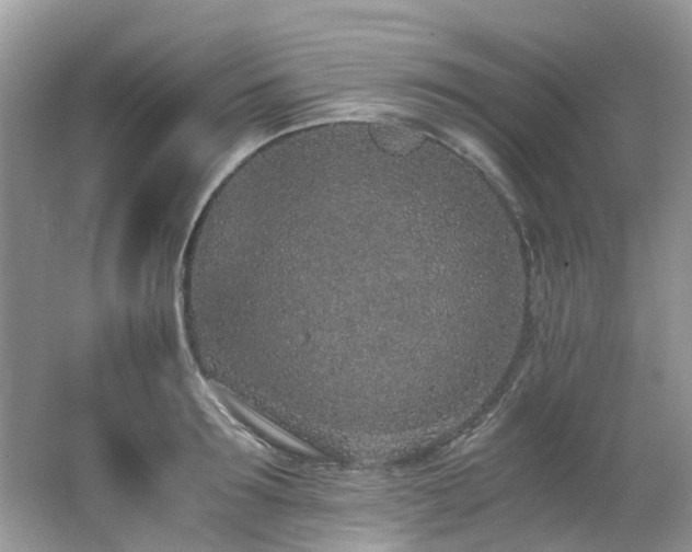 X0000062670899200512211332