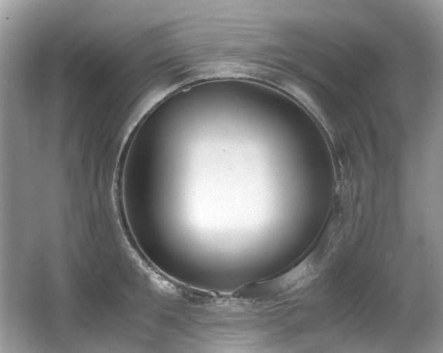 X0000062670901200512211332