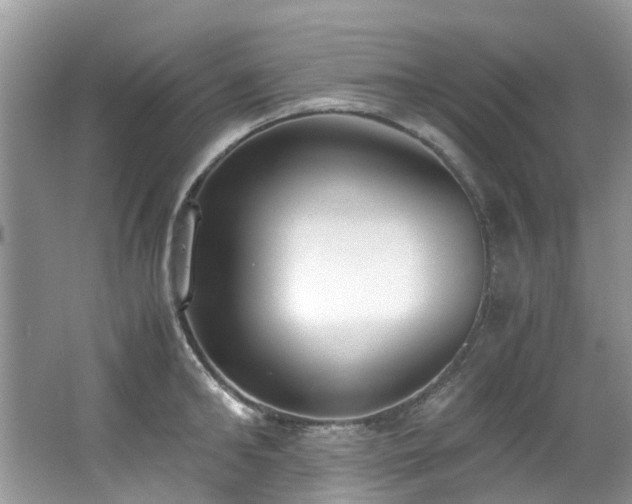 X0000062670902200512211332