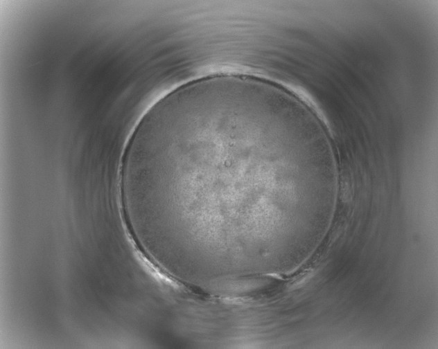 X0000062670903200512211332