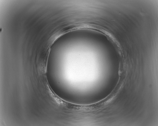 X0000062670905200512211332