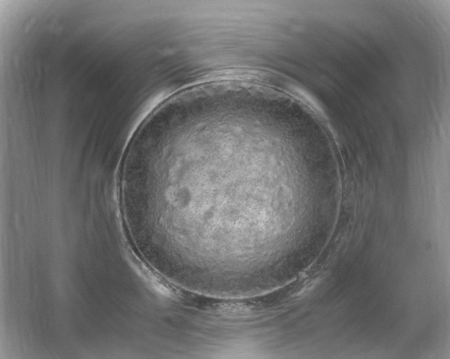 X0000062670907200512211332