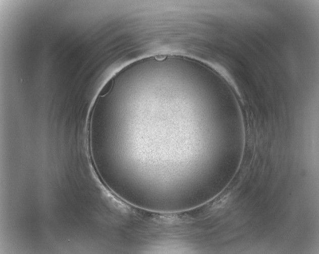 X0000062670911200512211332