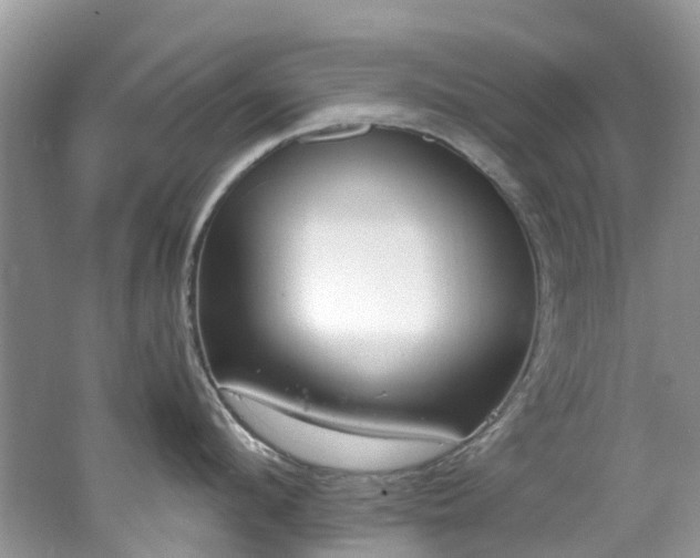 X0000062670912200512211332