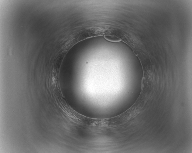 X0000062670914200512211331