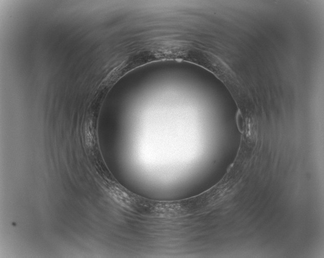 X0000062670915200512211331