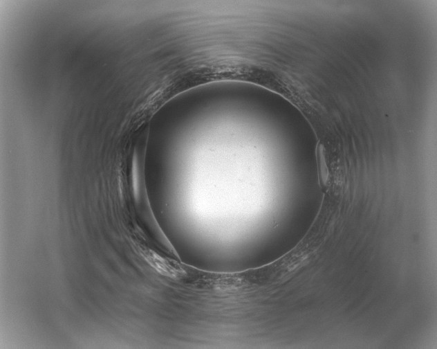 X0000062670916200512211331