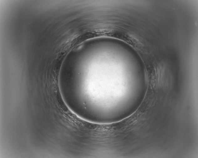 X0000062670917200512211331