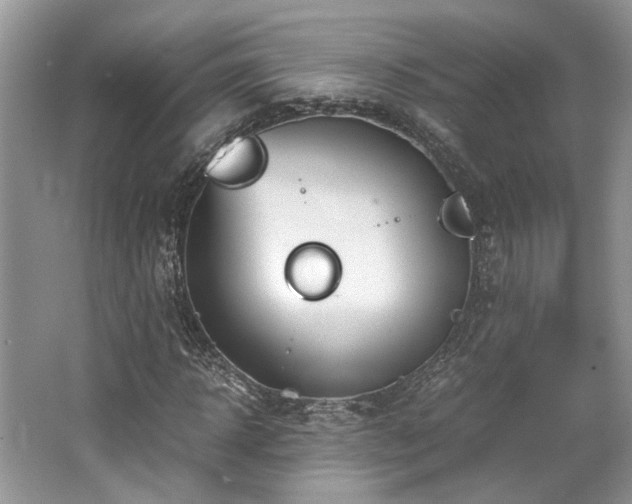 X0000062670918200512211331