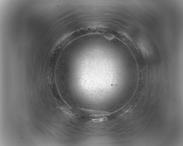 X0000062670919200512211331