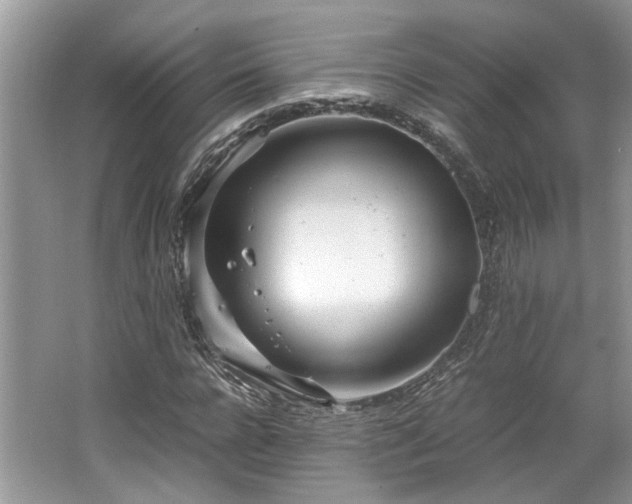 X0000062670920200512211331