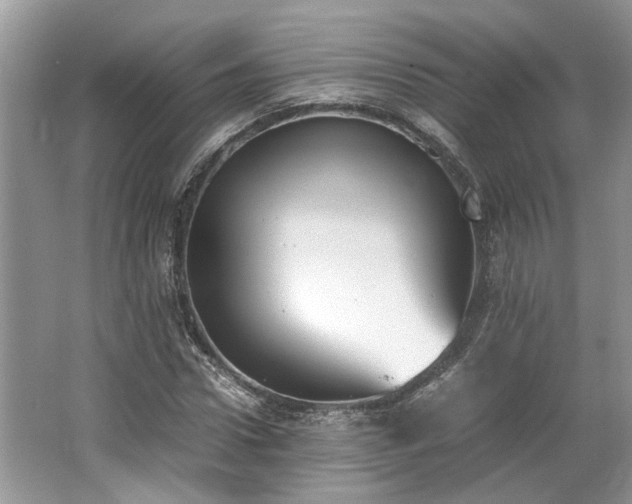 X0000062670922200512211331