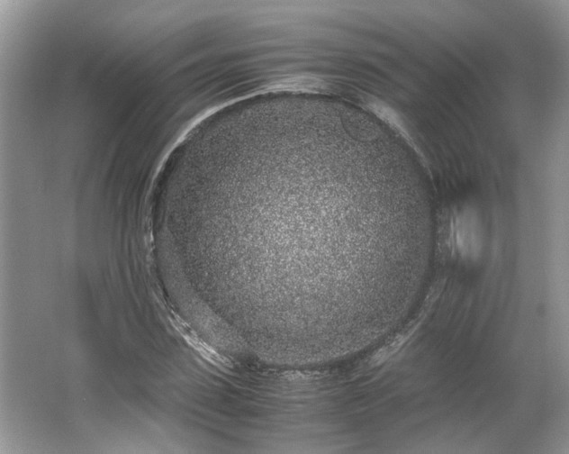 X0000062670923200512211331